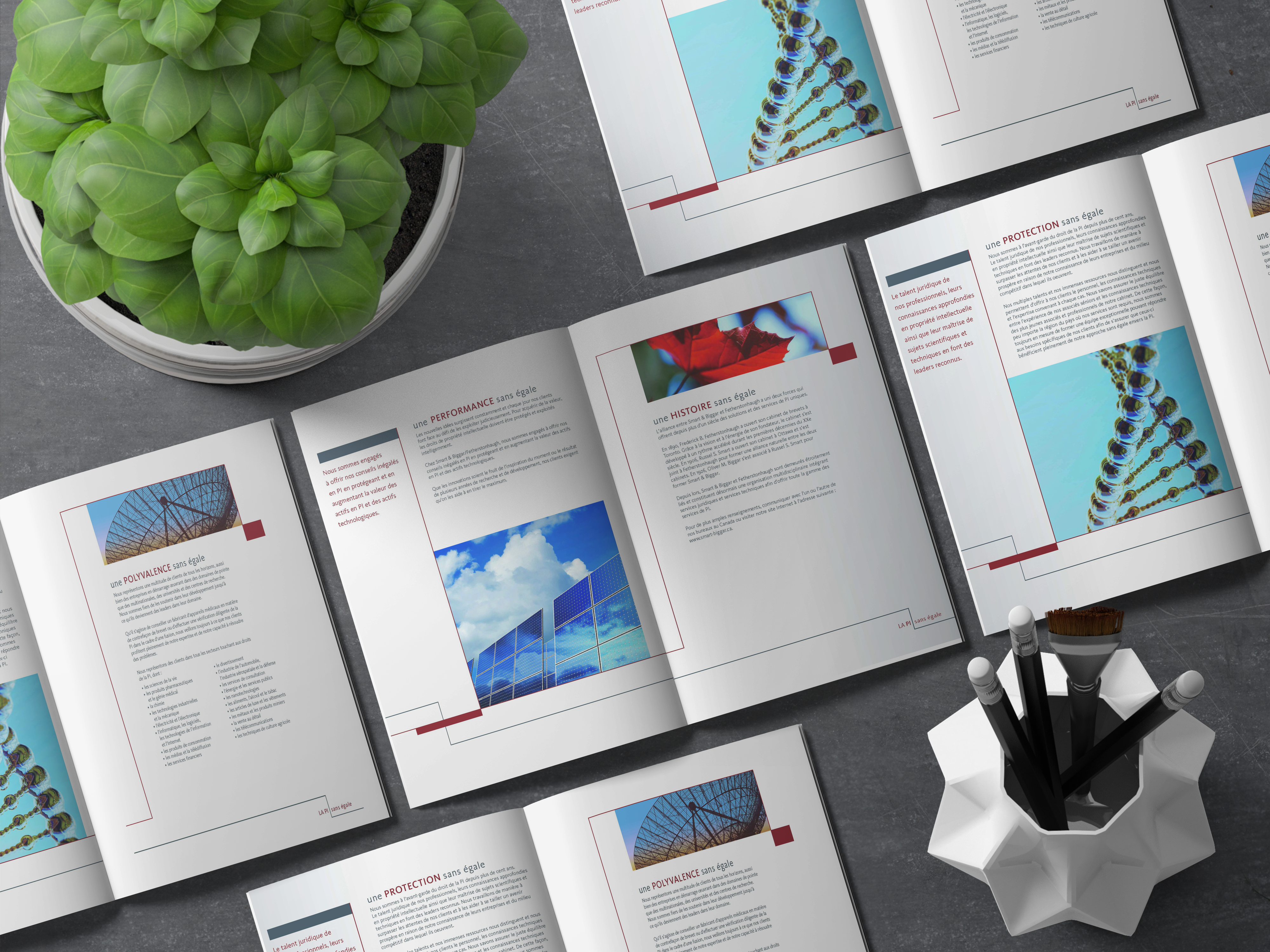 Portfolio item